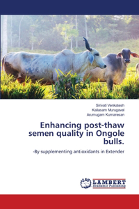 Enhancing post-thaw semen quality in Ongole bulls.