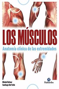 Musculos, Los. Anatomia clinica de las extremidades