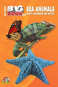 My First Big Book - Sea Animals