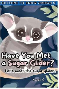 Have You Met a Sugar Glider?