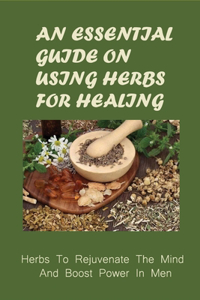 An Essential Guide On Using Herbs For Healing