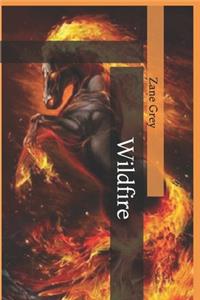 Wildfire