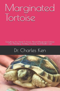 Marginated Tortoise