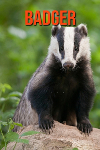 Badger