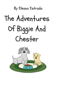 Adventures of Biggie and Chester: Chester and The Monster in the Sky