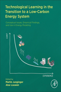 Technological Learning in the Transition to a Low-Carbon Energy System