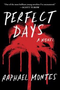 Perfect Days: A Novel