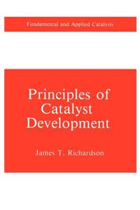 Principles of Catalyst Development