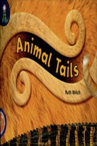 Lighthouse Year 1 Orange: Animal Tails