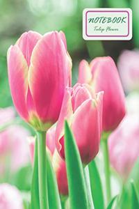 Notebook Tulip Flowers