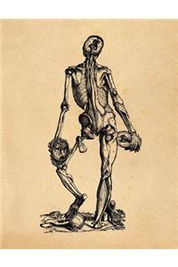 Anatomy Notebook