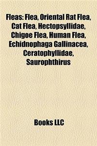 Fleas