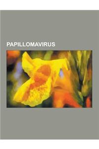 Papillomavirus: Anal Pap Smear, Bethesda System, Bovine Papillomavirus, Cervarix, Cervical Cancer, Cervical Intraepithelial Neoplasia,