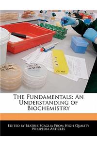 The Fundamentals