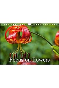 Focus on Flowers 2017