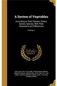 A System of Vegetables