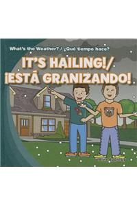 It's Hailing! / ¡Está Granizando!