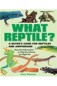 What Reptile?