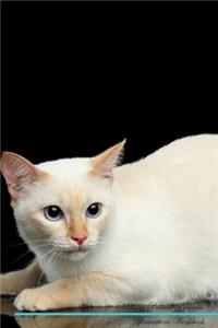 Mekong Bobtail Affirmations Workbook Mekong Bobtail Presents