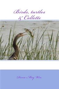 Birds, turtles and Collette