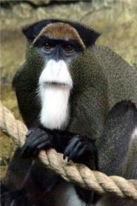 DeBrazza's Monkey Journal