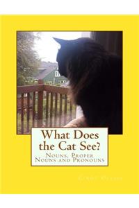 What Does the Cat See?