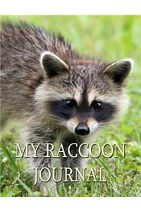 My Raccoon Journal