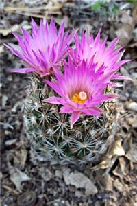 Pretty Pink Cactus Flowers Succulent Plant Garden Journal