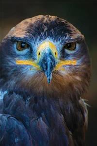 Hawk Eyed Any Day Planner Notebook