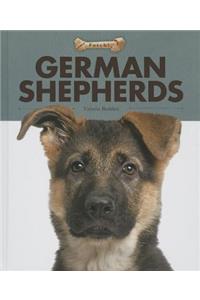 German Shepherds