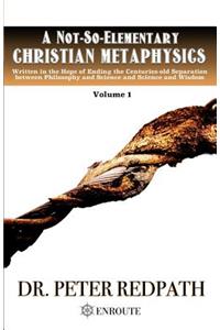 A Not-So-Elementary Christian Metaphysics
