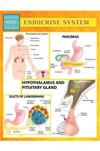Endocrine System (Speedy Study Guides)