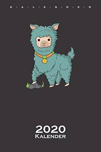 Lama steht in einem Häufchen Kalender 2020