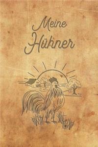 Meine Hühner