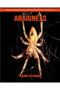 Araignées