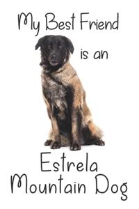 My best Friend is an Estrela Mountain Dog