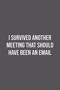 I Survived Another Meeting That Should Have Been An Email.