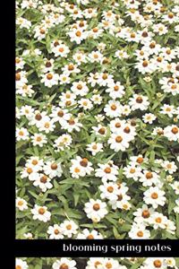 blooming spring notes