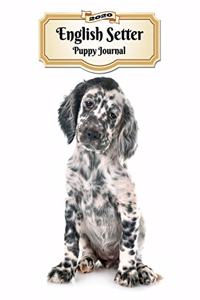 2020 English Setter Puppy Journal