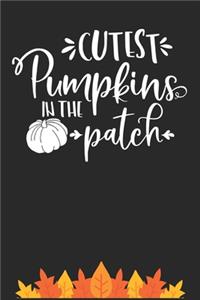 Cutest Pumpkins In The Patch