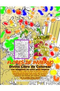 FLORES DE INVIERNO Divino Libro de Colorear con imágenes en color para inspirar Páginas en blanco y negro con líneas borrosas a la izquierda + Impresiones florales decorativas verdes rojas a la derecha Actividad divertida para Navidad