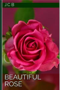 Beautiful Rose