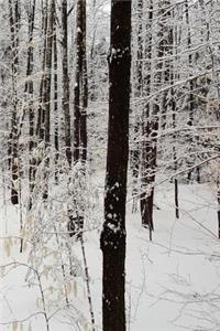 2019 Daily Planner Winter Season Forest 384 Pages