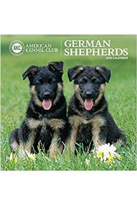 German Shepherds American Kennel Club 2018 Wall Calendar