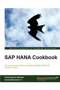 SAP Hana Cookbook