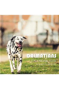 Dalmatians Calendar 2018