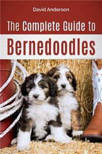 Complete Guide to Bernedoodles: Everything you need to know to successfully raise your Bernedoodle puppy!