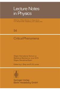 Critical Phenomena