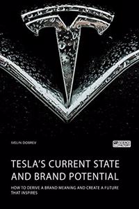 Tesla's current state and brand potential. How to derive a brand meaning and create a future that inspires