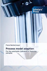 Process model adaption
